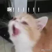 武磊的最新消息今天,武磊目前最新消息