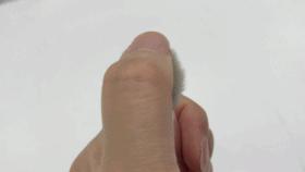 6款网红平价粉底液测评,新手平价粉底刷测评排行榜