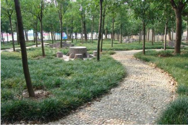 国内数一数二的大学,最好的华科大学