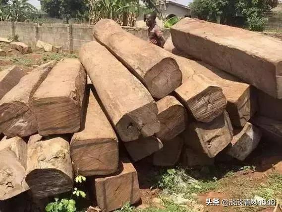 红木百科简介,红木家具百科