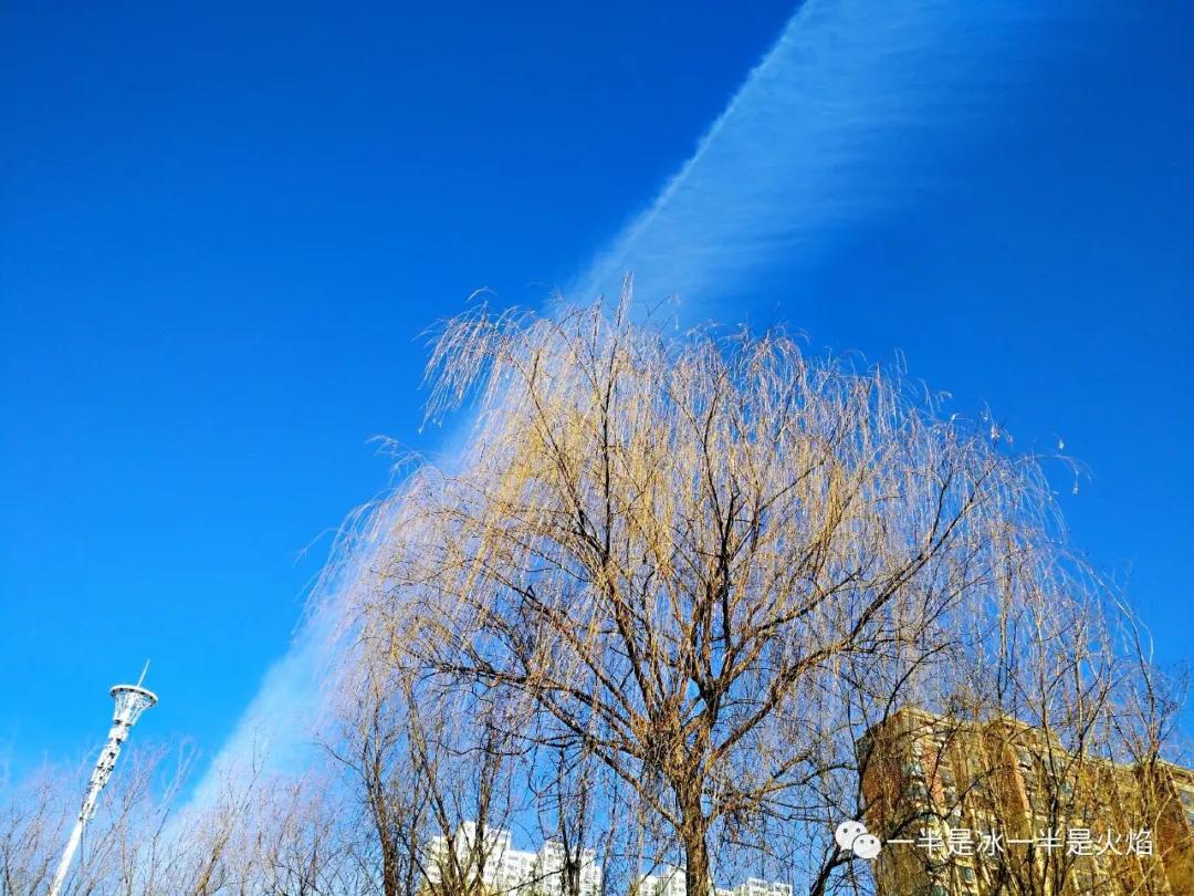 随笔冬日阳光,随笔冬日午后的阳光