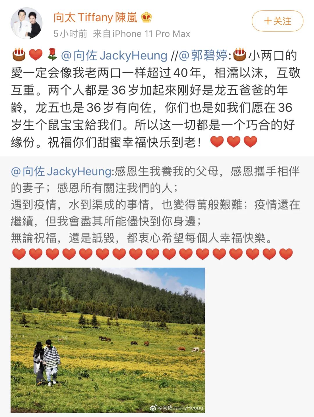 郭碧婷试管生孩子吗,郭碧婷是不是很幸运嫁了豪门