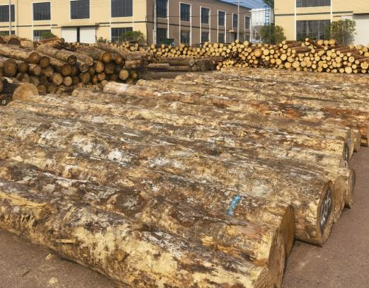 杉木桩直径150多少钱一米,杉木桩5米长价格