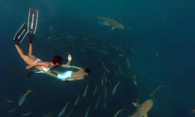 帕劳自由潜水完整视频,帕劳自由潜水玩法