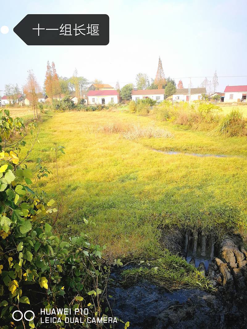 我的开挖机经历,从业以来的心路历程