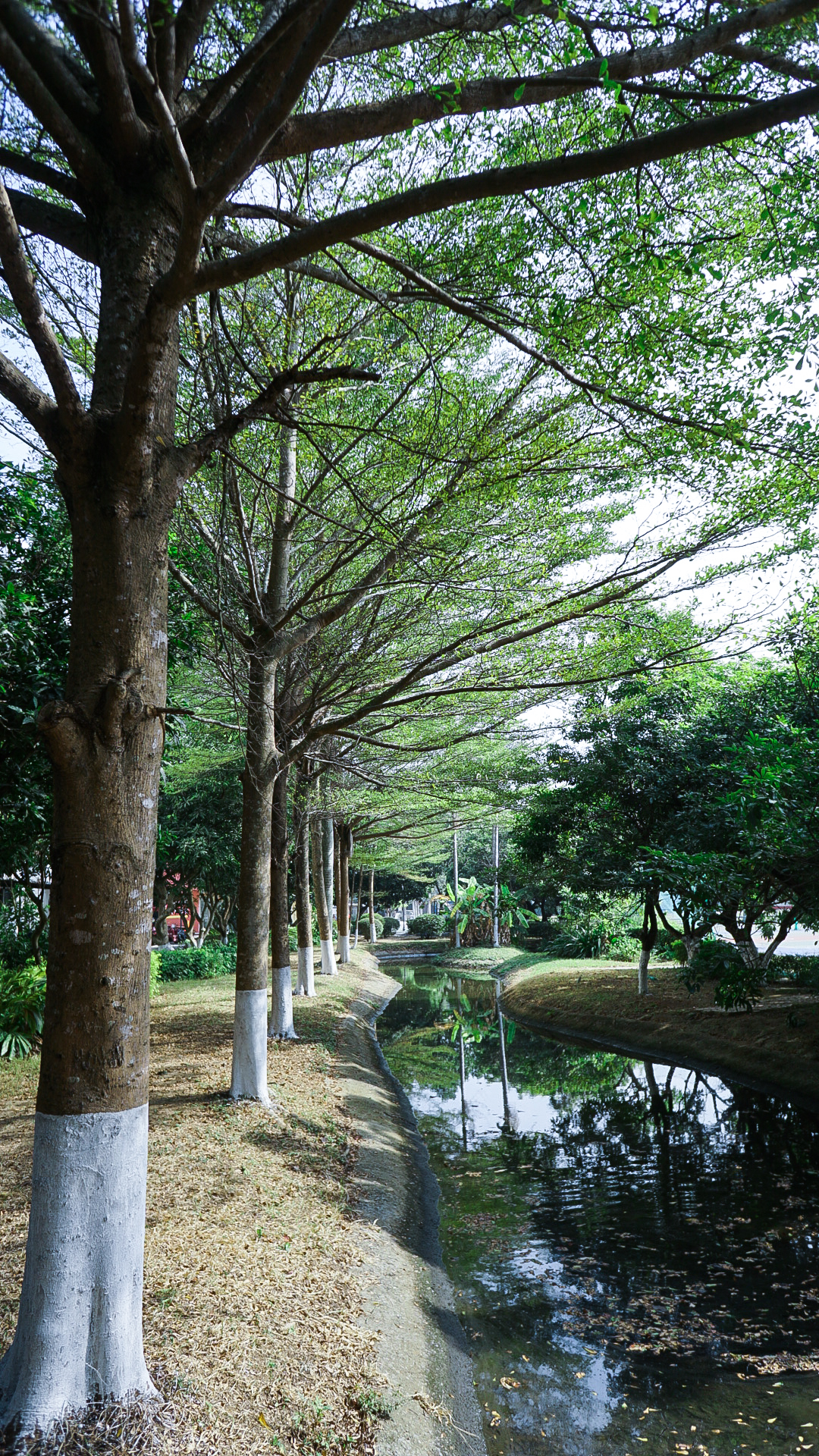 从北海一路开车到越南，都遇到了什么？