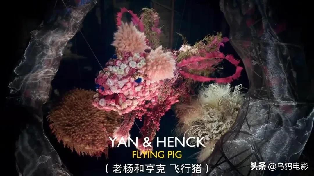 这也能拍出花?网飞又开挂了,每集都让我惊掉下巴