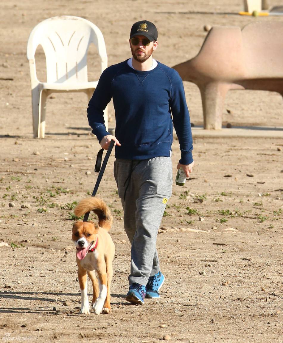 又到了动物繁殖的季节：狗狗发情期铲屎官需要知道的那些事
