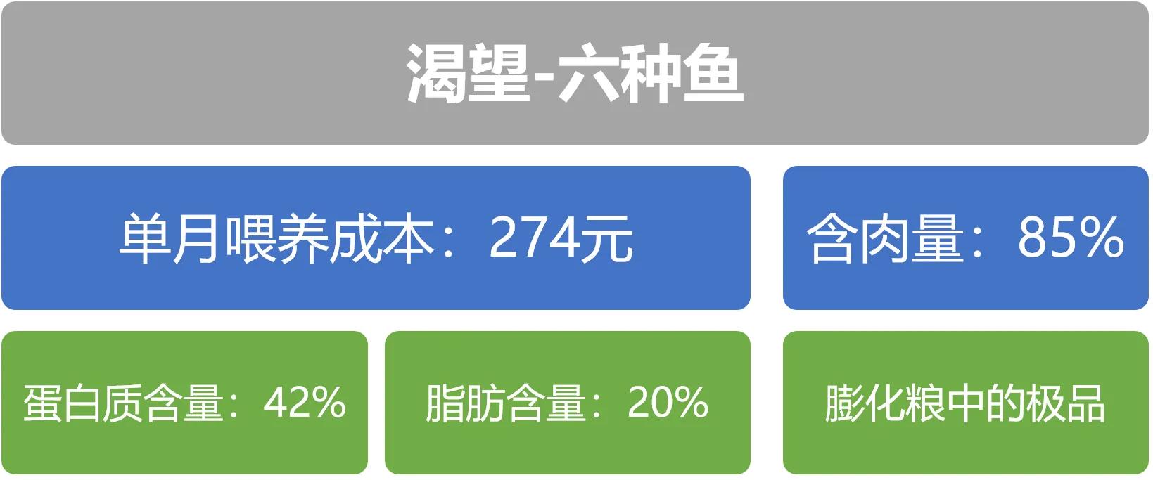 怎么选择猫粮才是正确的,一个月的猫咪怎么挑猫粮