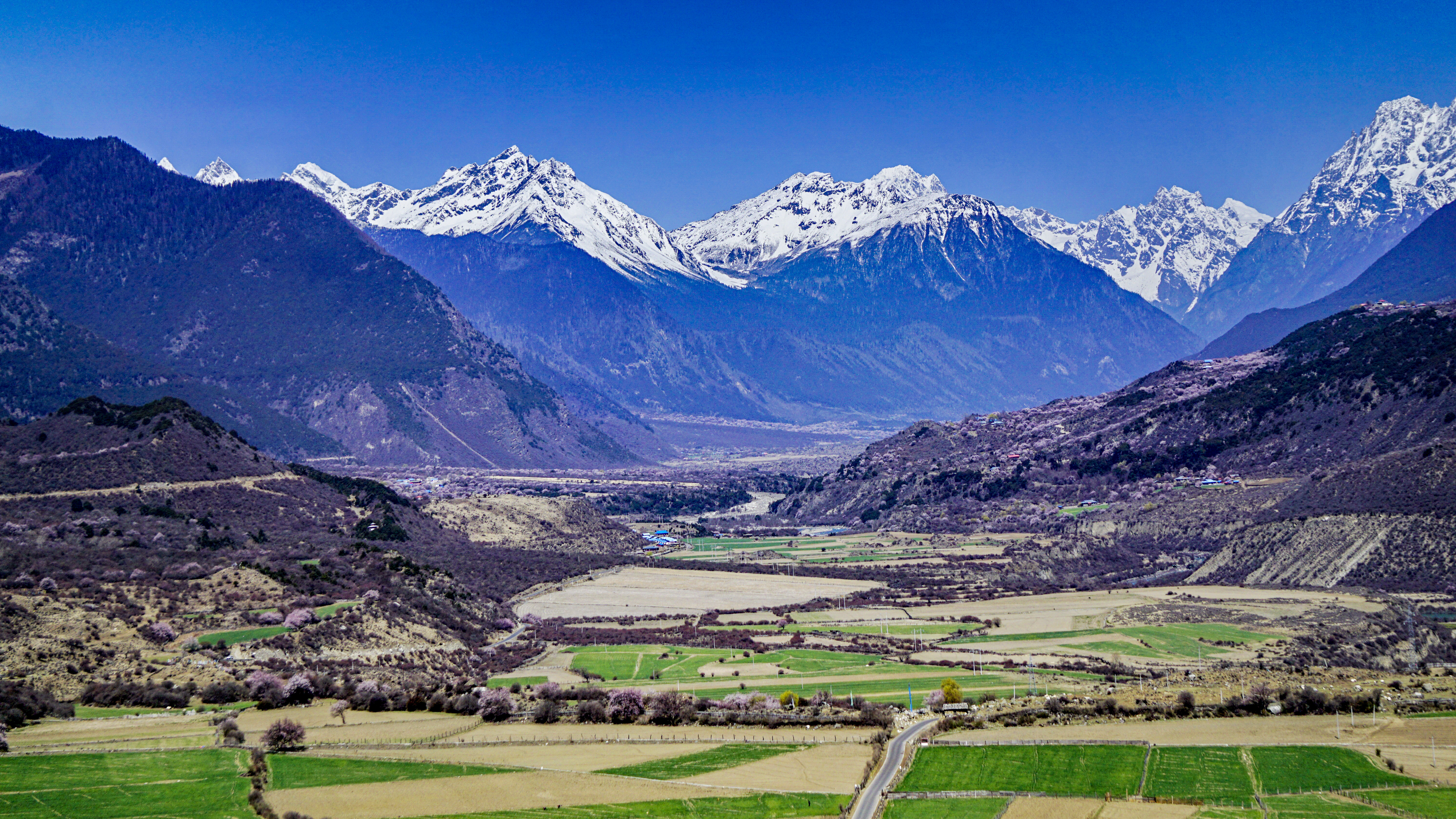骞稿緱璇嗗嵖妗冭姳闈粠姝ら槨闄屽鏆栨槬,骞稿緱璇嗗嵖妗冭姳闈㈣嚦姝や汉闂村鏆栨槬