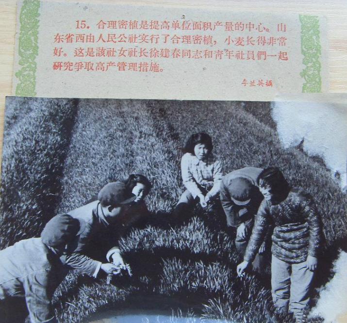 上世纪50年代，给毛主席点烟的女知青，如今怎么样了？