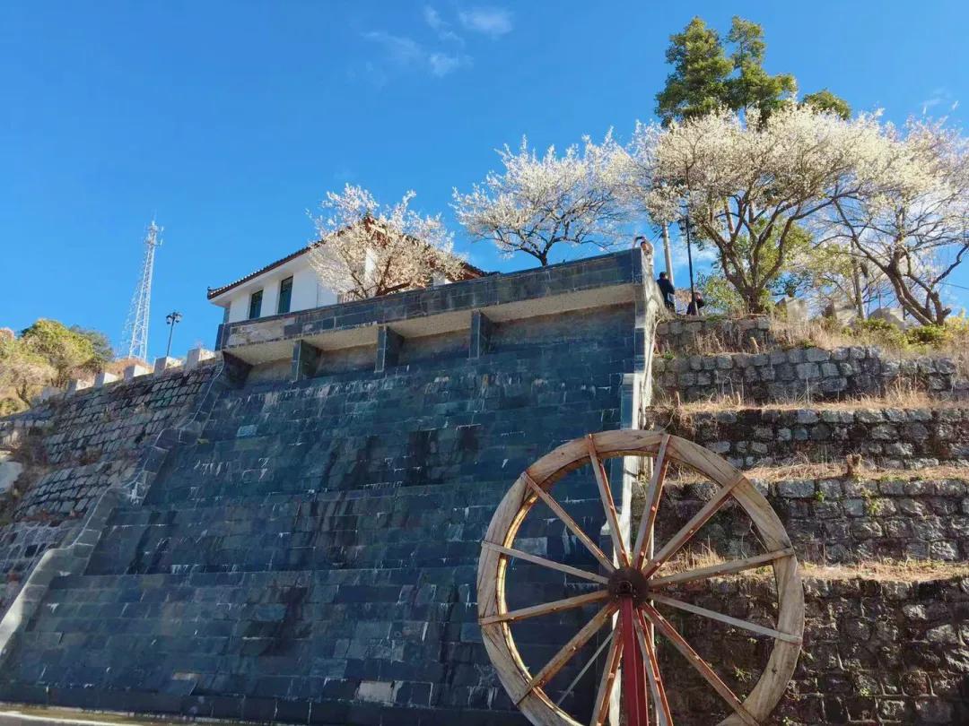 「山水中国」2021年1月||才入南湖烟雨路,梅开十里合春云