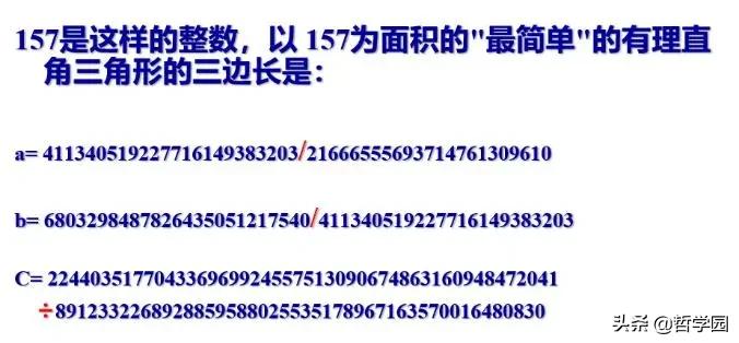 数学的价值和意义,数学的本质和意义