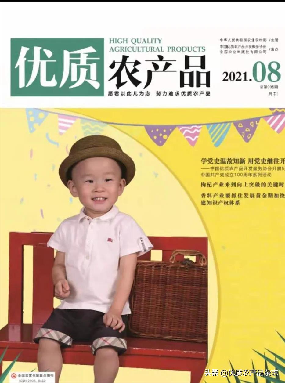 美国山区如何采摘水果的,美国农场摘桔子