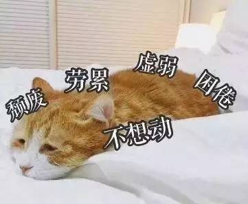 蓝氏猫粮限时优惠券领取入口,猫粮狗粮宠物用品折扣