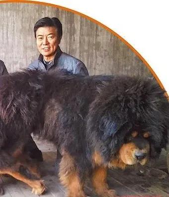 绝代佳人四大美,台湾90年代的五位绝色美人