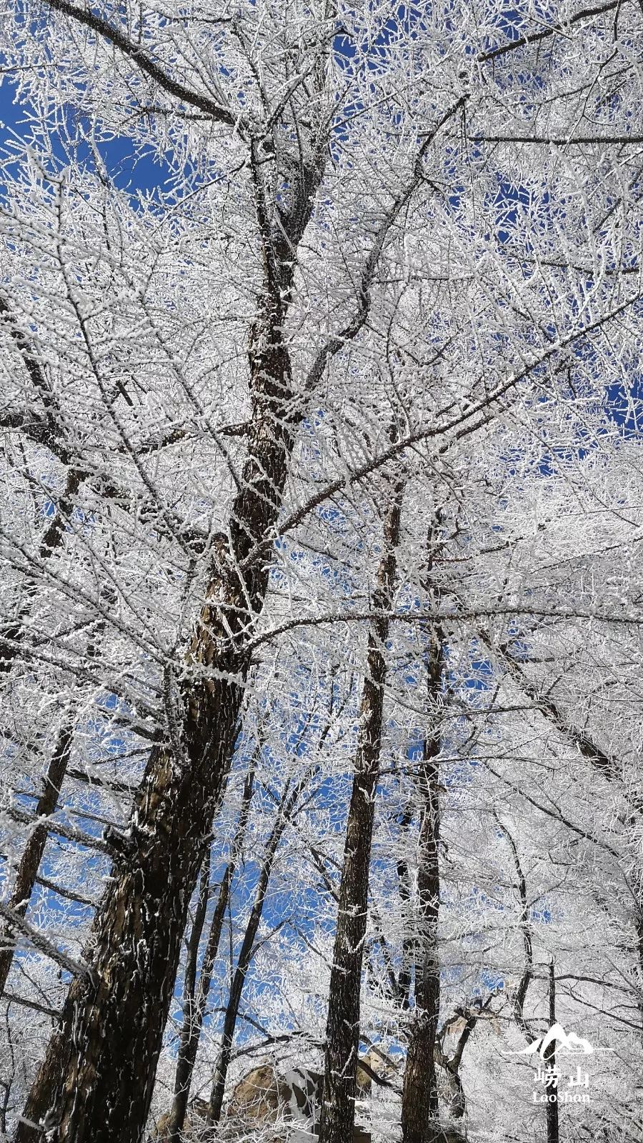 赏雪何须去北国,赏梦幻雾凇耍雪的绝佳去处