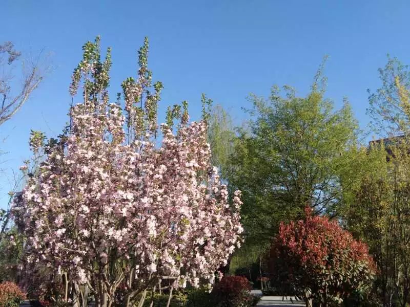 上善若水散文诗原文,上善若水整首诗翻译