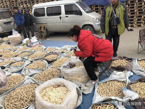 中国人参之乡抚松万良,最近抚松县万良人参交易市场