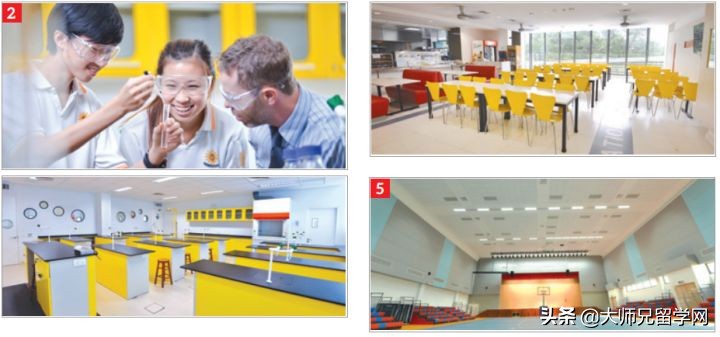 马来西亚双威大学留学怎么样,马来西亚双威大学有哪些专业