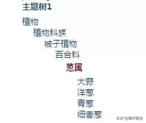 猫咪不能吃什么添加剂,猫咪不能吃什么