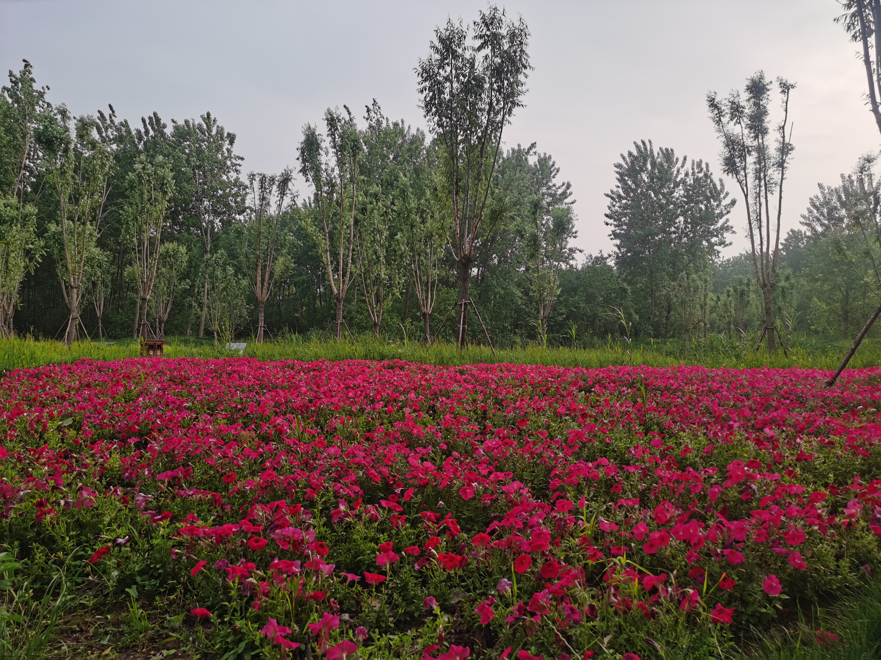 曾经的脏乱差变成了现在的新景观,从面目全非到焕然一新