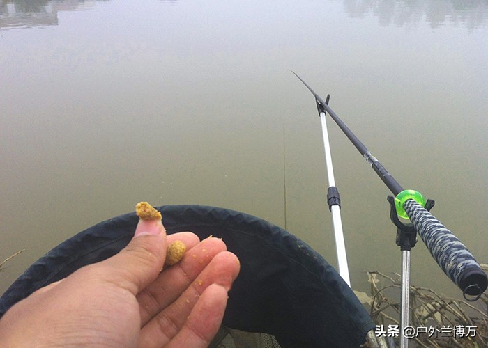 钓鱼鱼腥味怎么去除,钓鱼回来如何去除车内鱼腥味