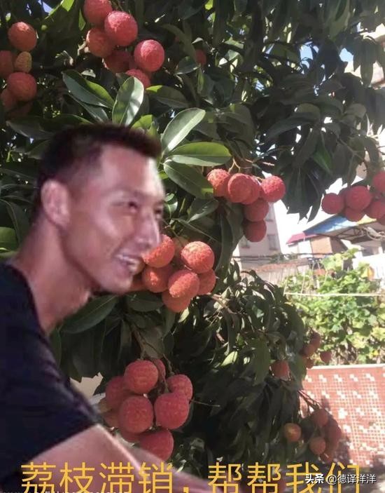 为什么阿联被叫荔枝佬,为什么称易建联为荔枝佬
