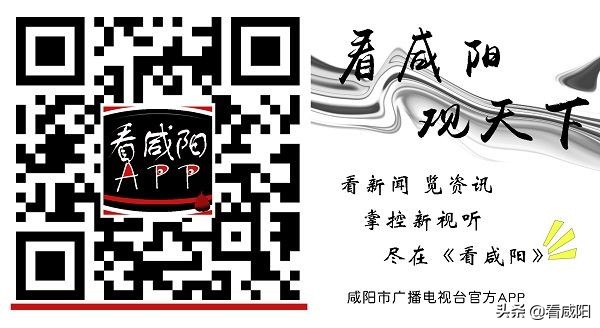 陕西省第四届联盟杯足球比赛,2024年咸阳市青少年足球锦标赛