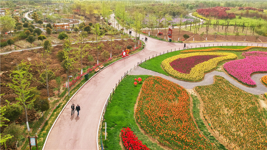 我和宿州有个约会，一场花事，一次慢旅行，探寻最烟火的宿州味道