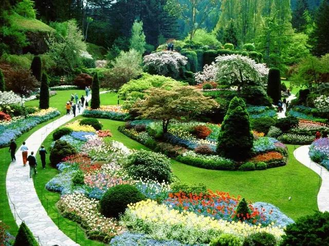 矿坑改造最美公园,矿坑改造湿地公园视频