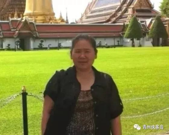 青州甄日菊简介,青州甄日菊