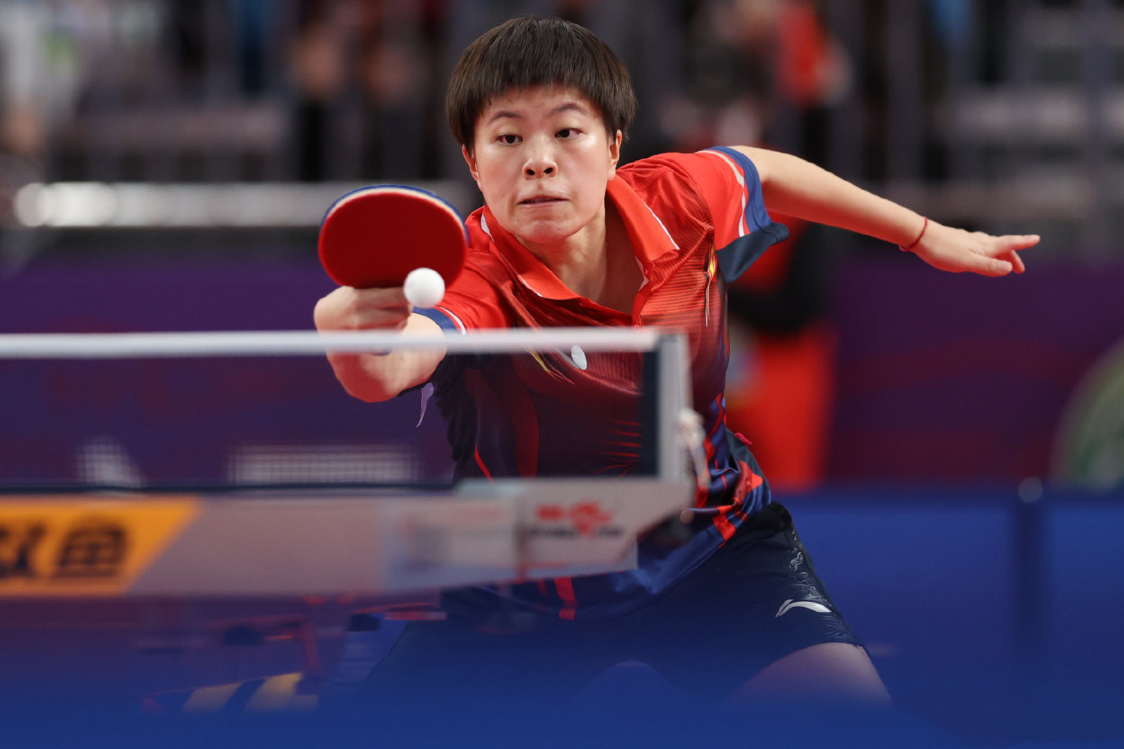 2023辽宁夺冠历程,辽宁史上第一个总冠军