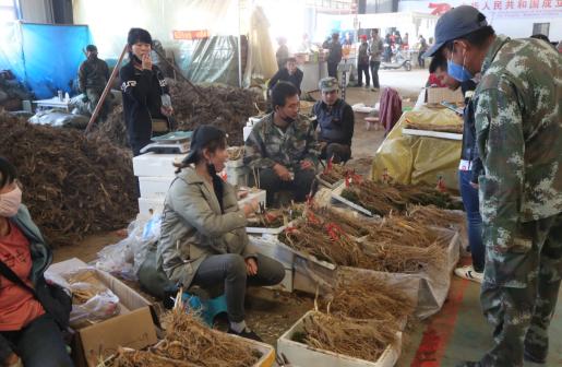 抚松万良人参交易市场价格,抚松县万良镇长白山人参市场