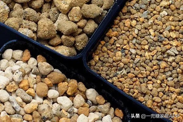 春天花会开|这20家植物淘宝店，植物杀手看了也想买！