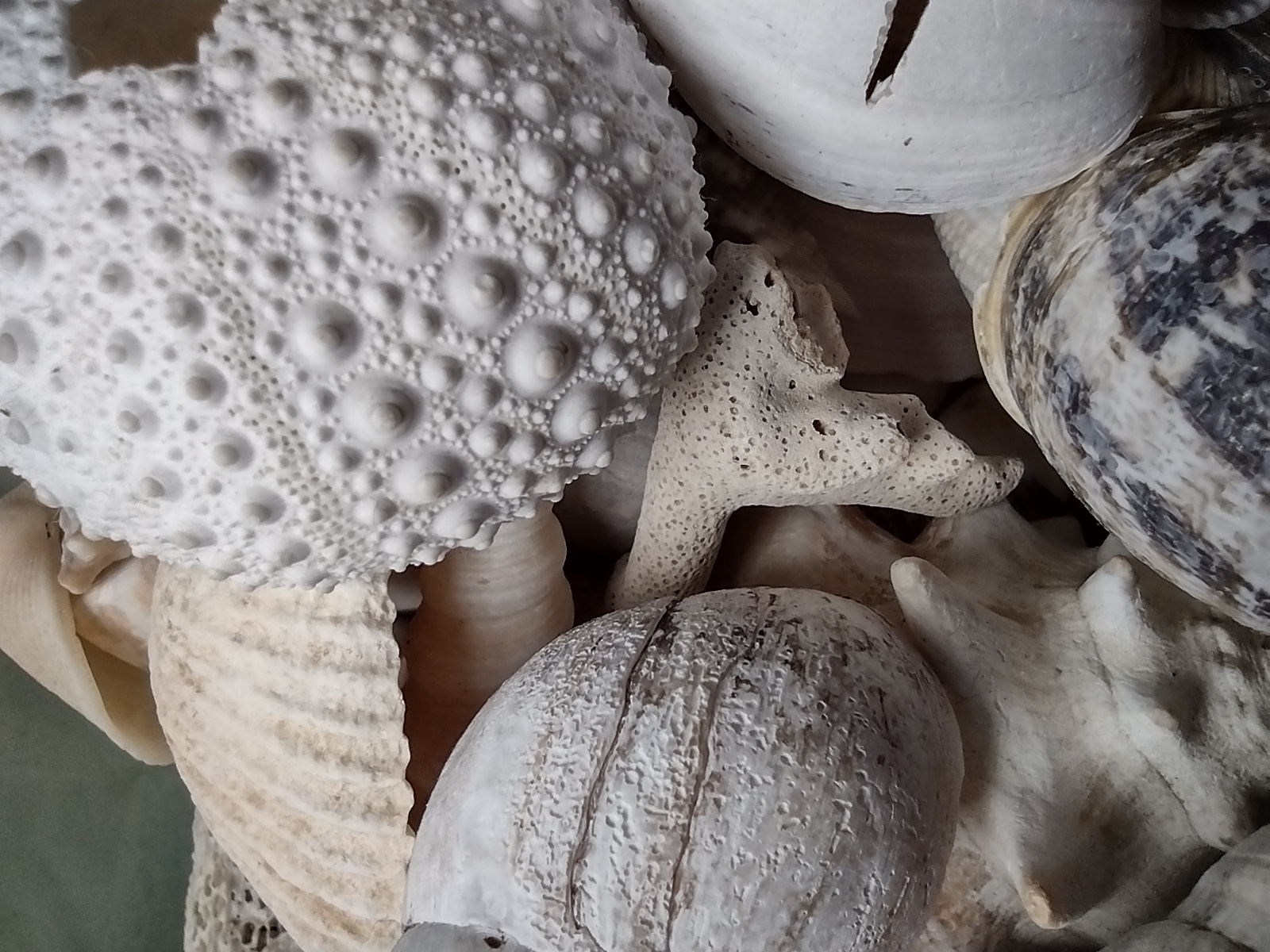 6000mah长续航手机推荐,联想乐檬k12pro