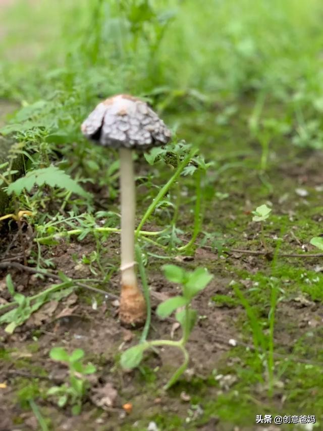 魔鞋与普通鞋有什么区别,魔鞋是什么鞋