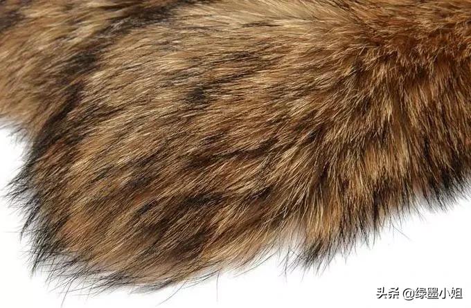 冬季必备派克服寒冬变暖冬,派克服可以在多冷的地方穿