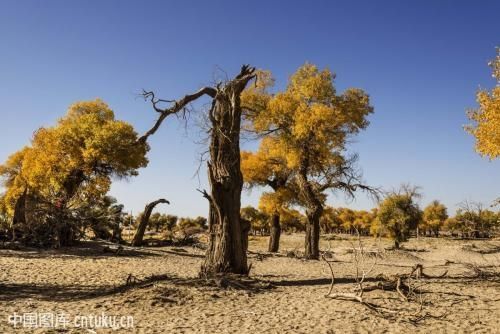 教改20年，三线以下城乡素质教育的问题和希望（原创