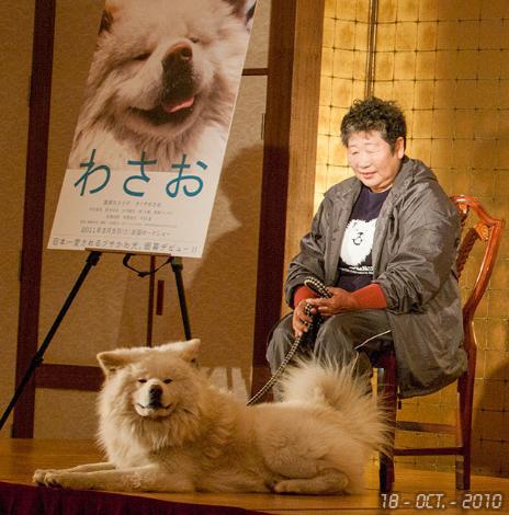 日本网红狗狗去世,日本狗死了