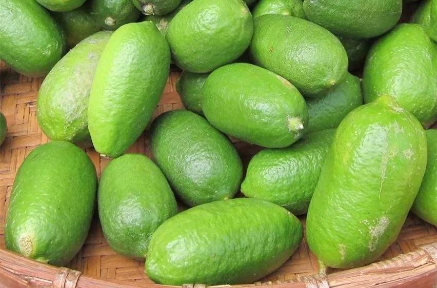 柠檬开花结果后怎样保果,柠檬开花结果怎样施肥