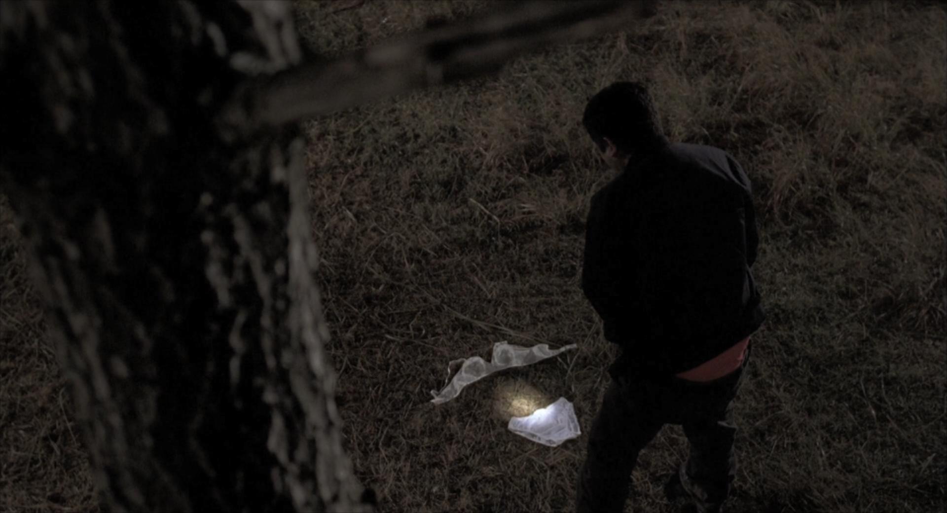 观影：5年里10名女子受害，仅1人幸存，良心警察被逼成*力暴**狂