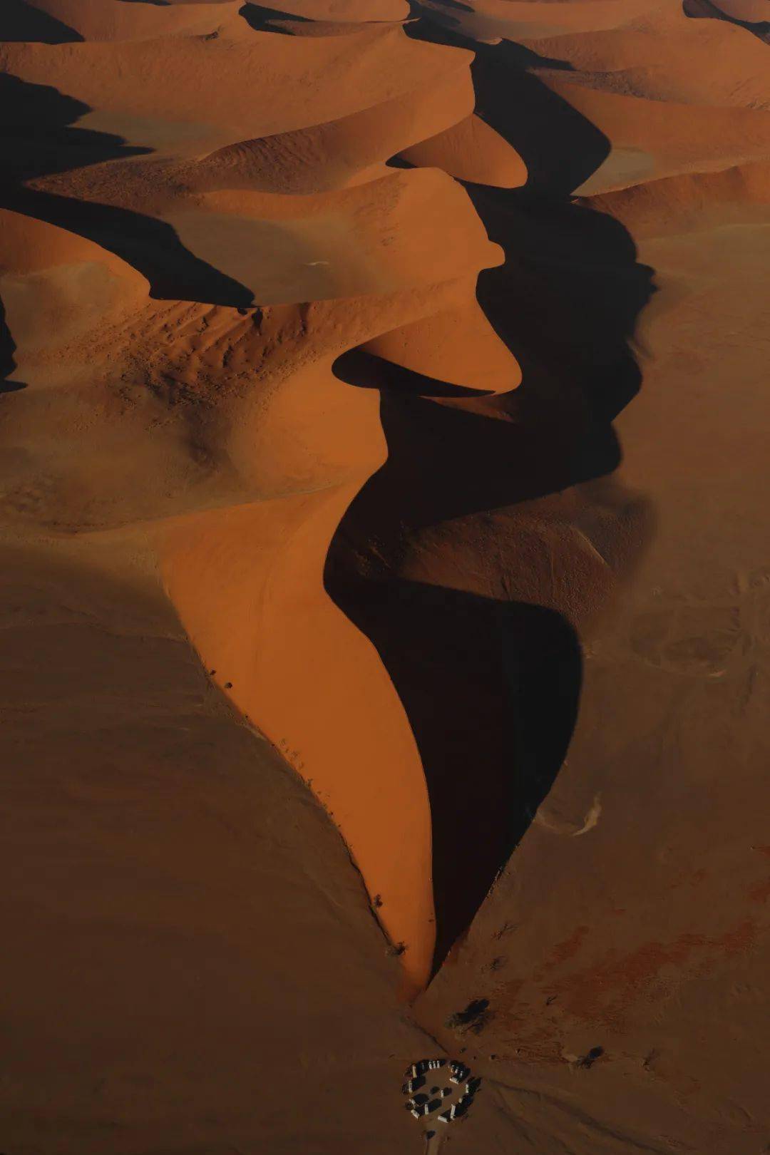 小白新手入手佳能,值得新手入门的佳能