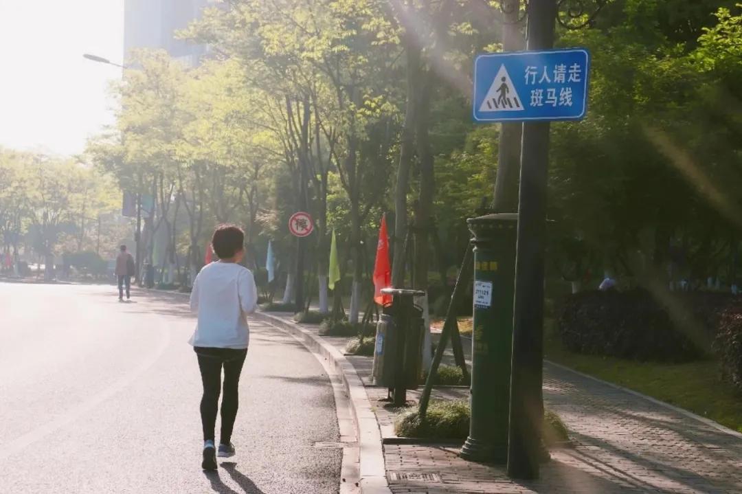 篮球足球排球台球网球,篮球足球羽毛球乒乓球排球图片