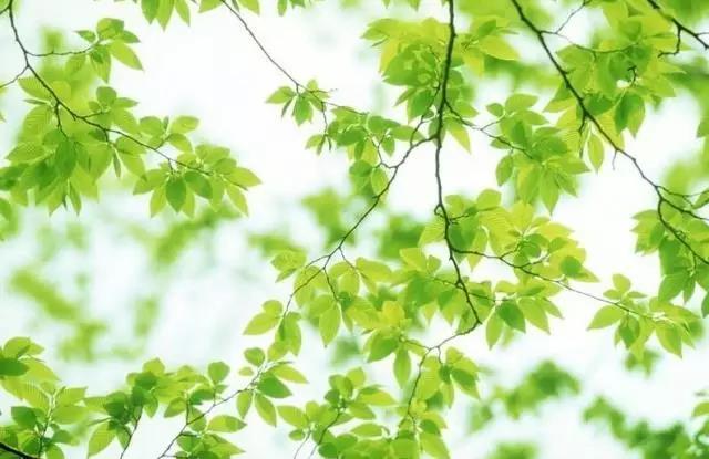 经常晚上拉肚子是什么原因,拉肚子眼圈变黑怎么回事