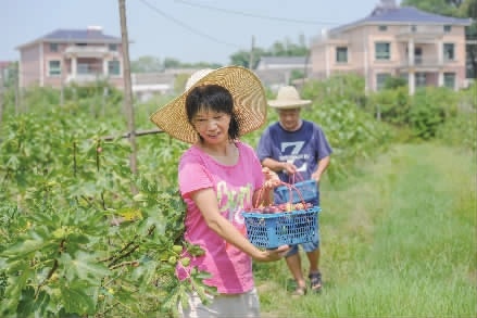 湖南乡村振兴战略特色村,湖南现代农业进乡村