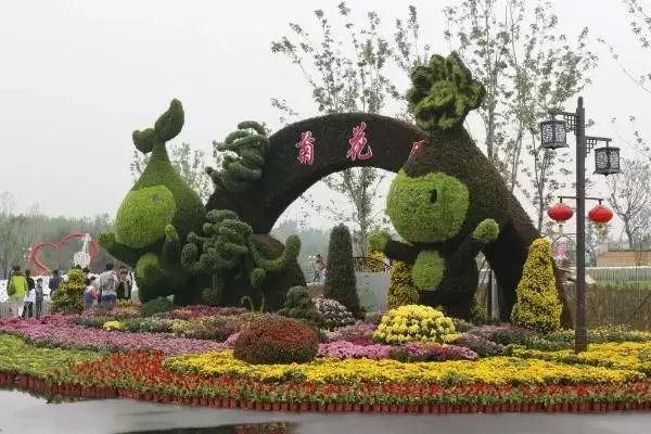 *安泰**赏花休闲婚拍就到泰山花海摩玛梦想城