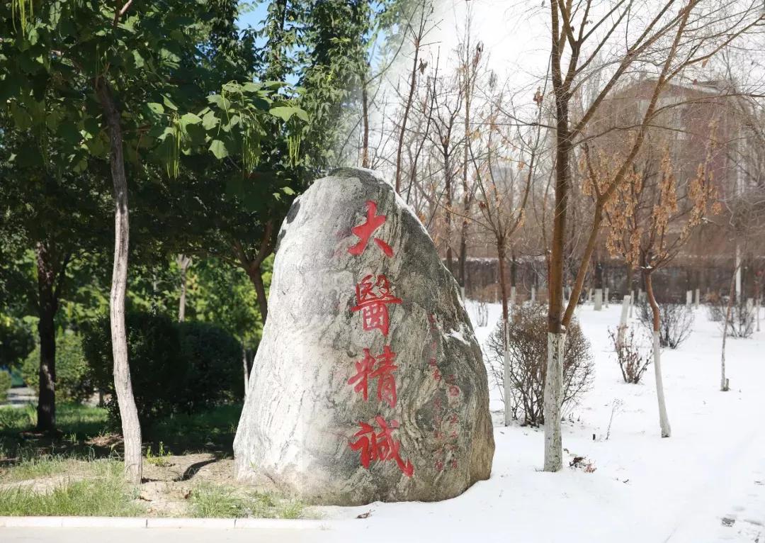 辽宁中医药大学杏林学院规模,辽宁中医学院杏林学院的排名