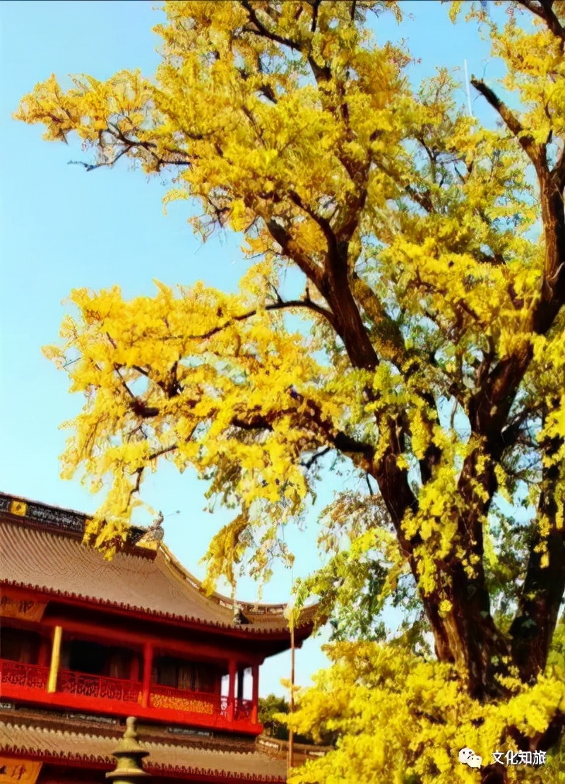 千年上海,千年朱家角