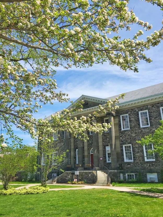 每周一校｜加拿大·达尔豪斯大学